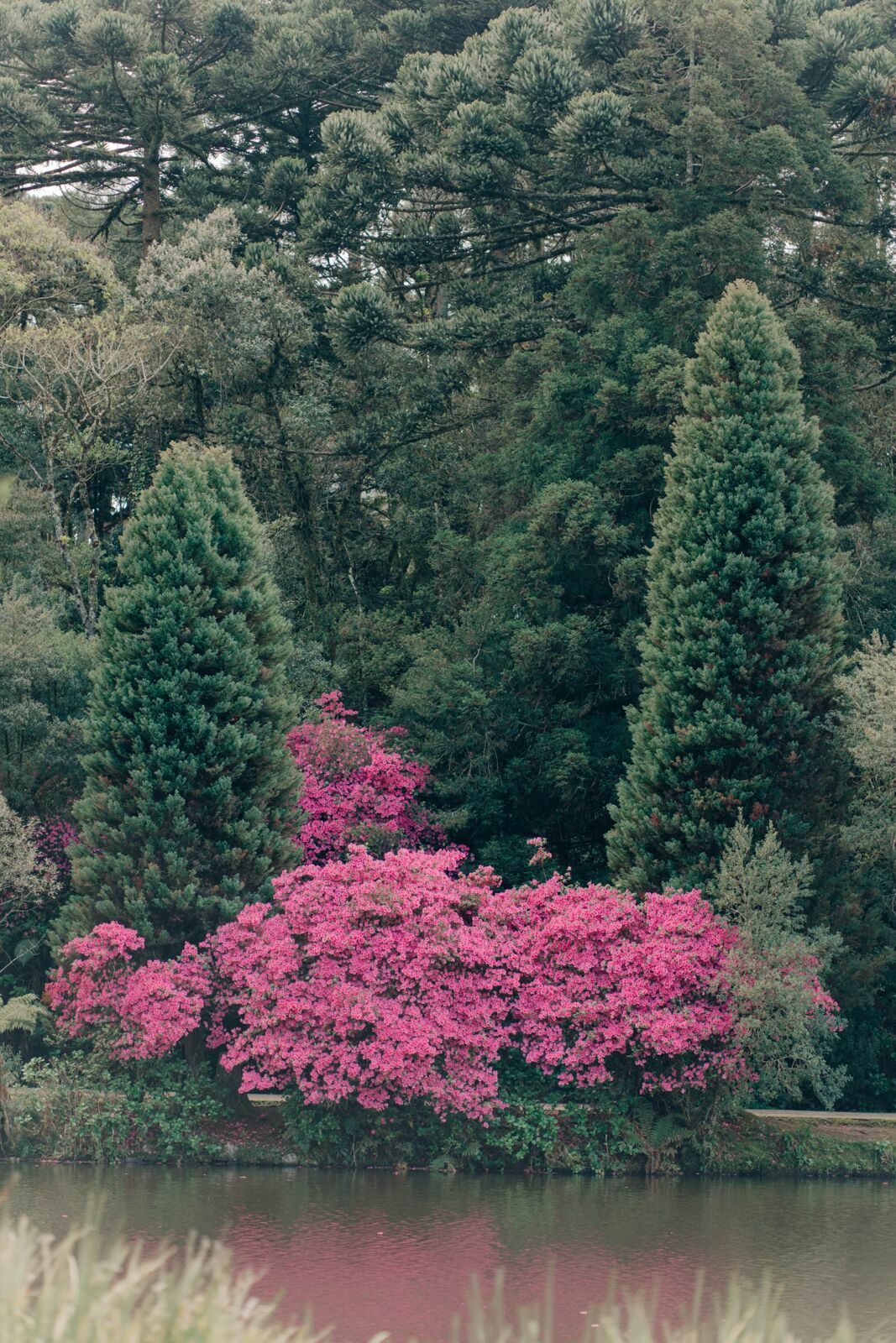 Foto Locais para fotografar no inverno da Serra Gaúcha Foto Locais para fotografar no inverno da Serra Gaúcha - Imagem 55