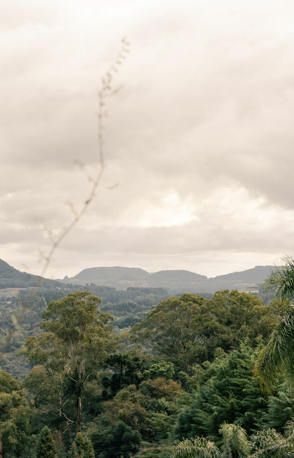 Foto Casamento intimista na Pousada La Vista Foto Casamento intimista na Pousada La Vista - Imagem 19