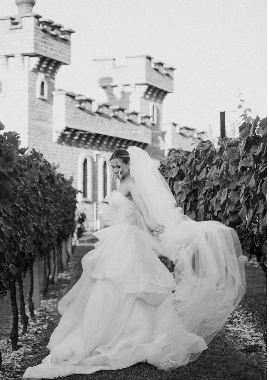 Foto Karla & Gui - Imagem 59