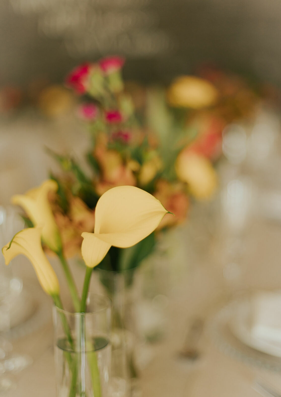 Foto Vitória & Cleber - Imagem 10